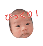 うちの慶さま。（個別スタンプ：2）