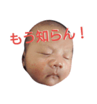 うちの慶さま。（個別スタンプ：4）