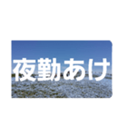 ネモフィラの花の写真『日常会話』（個別スタンプ：3）