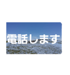 ネモフィラの花の写真『日常会話』（個別スタンプ：6）