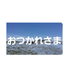 ネモフィラの花の写真『日常会話』（個別スタンプ：9）