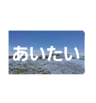 ネモフィラの花の写真『日常会話』（個別スタンプ：14）