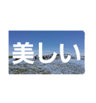 ネモフィラの花の写真『日常会話』（個別スタンプ：28）