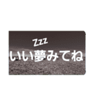 ネモフィラの花の写真『日常会話』（個別スタンプ：38）