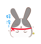 Rabbit will be small fat（個別スタンプ：13）