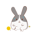 Rabbit will be small fat（個別スタンプ：24）