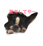 阪口ぽんず②（個別スタンプ：2）