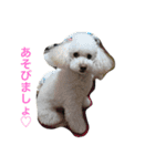 阪口ぽんず②（個別スタンプ：6）