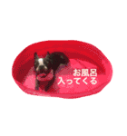 阪口ぽんず②（個別スタンプ：9）