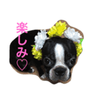 阪口ぽんず②（個別スタンプ：14）
