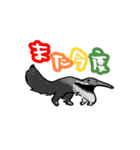 オオアリクイ（個別スタンプ：9）