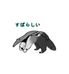 オオアリクイ（個別スタンプ：12）