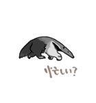 オオアリクイ（個別スタンプ：13）