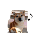 柴犬 シーザーとエリちゃん（個別スタンプ：22）
