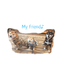 柴犬 シーザーとエリちゃん（個別スタンプ：31）