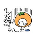 郡上おどり猫さん（個別スタンプ：24）