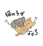 郡上おどり猫さん（個別スタンプ：26）
