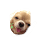 もぐみです 5（個別スタンプ：2）