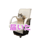 もふとネオバのスタンプ（個別スタンプ：6）
