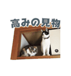 もふとネオバのスタンプ（個別スタンプ：28）