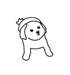 マルチーズのまろん（個別スタンプ：11）