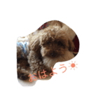 ぽんずのひとり言（個別スタンプ：1）