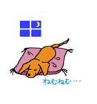 かわいいミニチュアダックスフンド チョコ（個別スタンプ：12）