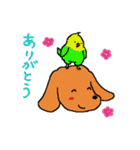 かわいいミニチュアダックスフンド チョコ（個別スタンプ：22）