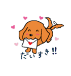 かわいいミニチュアダックスフンド チョコ（個別スタンプ：23）
