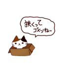 ごめんね猫 日本語（個別スタンプ：3）