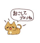 ごめんね猫 日本語（個別スタンプ：6）