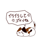 ごめんね猫 日本語（個別スタンプ：23）