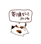 ごめんね猫 日本語（個別スタンプ：27）