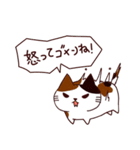 ごめんね猫 日本語（個別スタンプ：34）