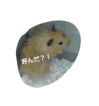 それいけ！ネズミーズ2（個別スタンプ：2）