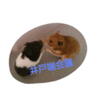 それいけ！ネズミーズ2（個別スタンプ：3）
