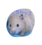 それいけ！ネズミーズ（個別スタンプ：1）