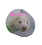 それいけ！ネズミーズ（個別スタンプ：2）