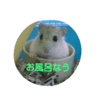 それいけ！ネズミーズ（個別スタンプ：6）