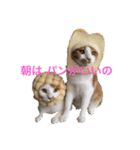 いちご嬢＆タルト氏 2話目（個別スタンプ：5）