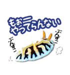 日常で使えるウミウシさんスタンプ（個別スタンプ：5）