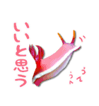 日常で使えるウミウシさんスタンプ（個別スタンプ：30）