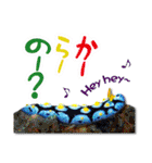 日常で使えるウミウシさんスタンプ（個別スタンプ：31）