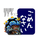 日常で使えるウミウシさんスタンプ（個別スタンプ：34）