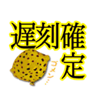 日常で使えるウミウシさんスタンプ（個別スタンプ：36）