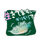 日常で使えるウミウシさんスタンプ（個別スタンプ：39）