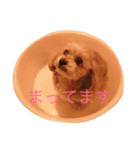 ルビーのまいにち（個別スタンプ：9）