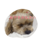 ルビーのまいにち（個別スタンプ：11）