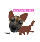 猫三兄弟と犬の家族（個別スタンプ：3）