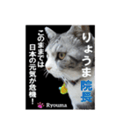 猫三兄弟と犬の家族（個別スタンプ：26）